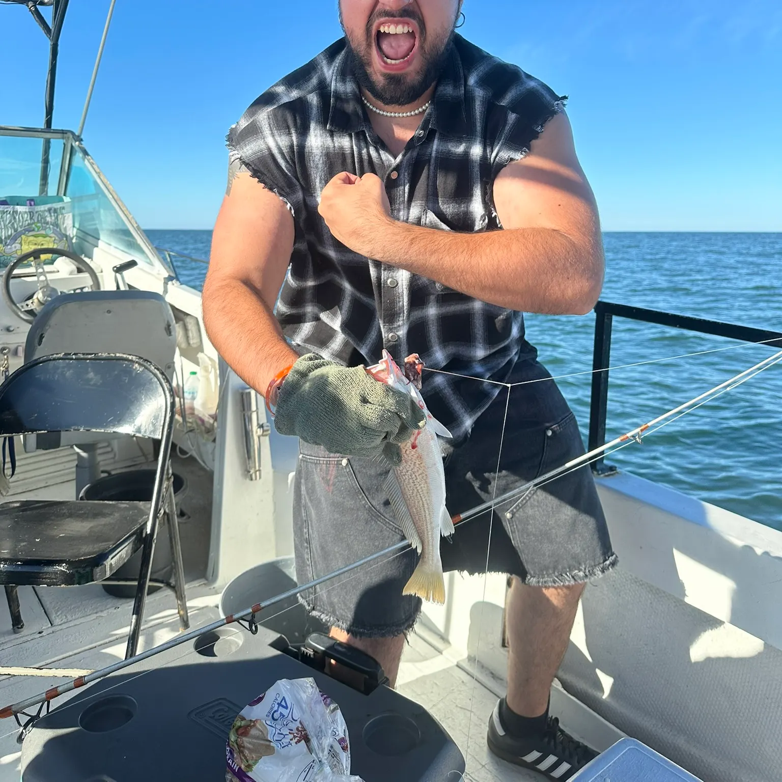 The most recent Roncadora catches on Fishbrain