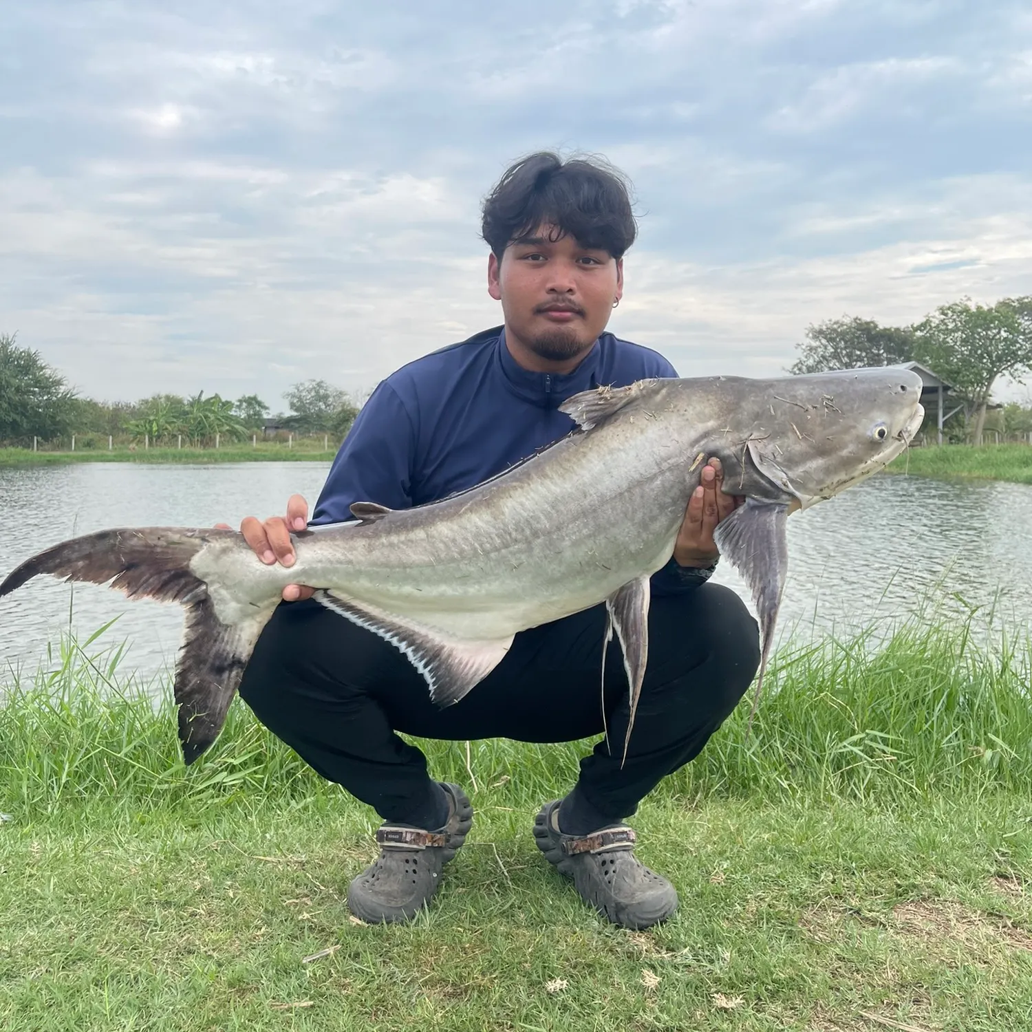 most liked catch image