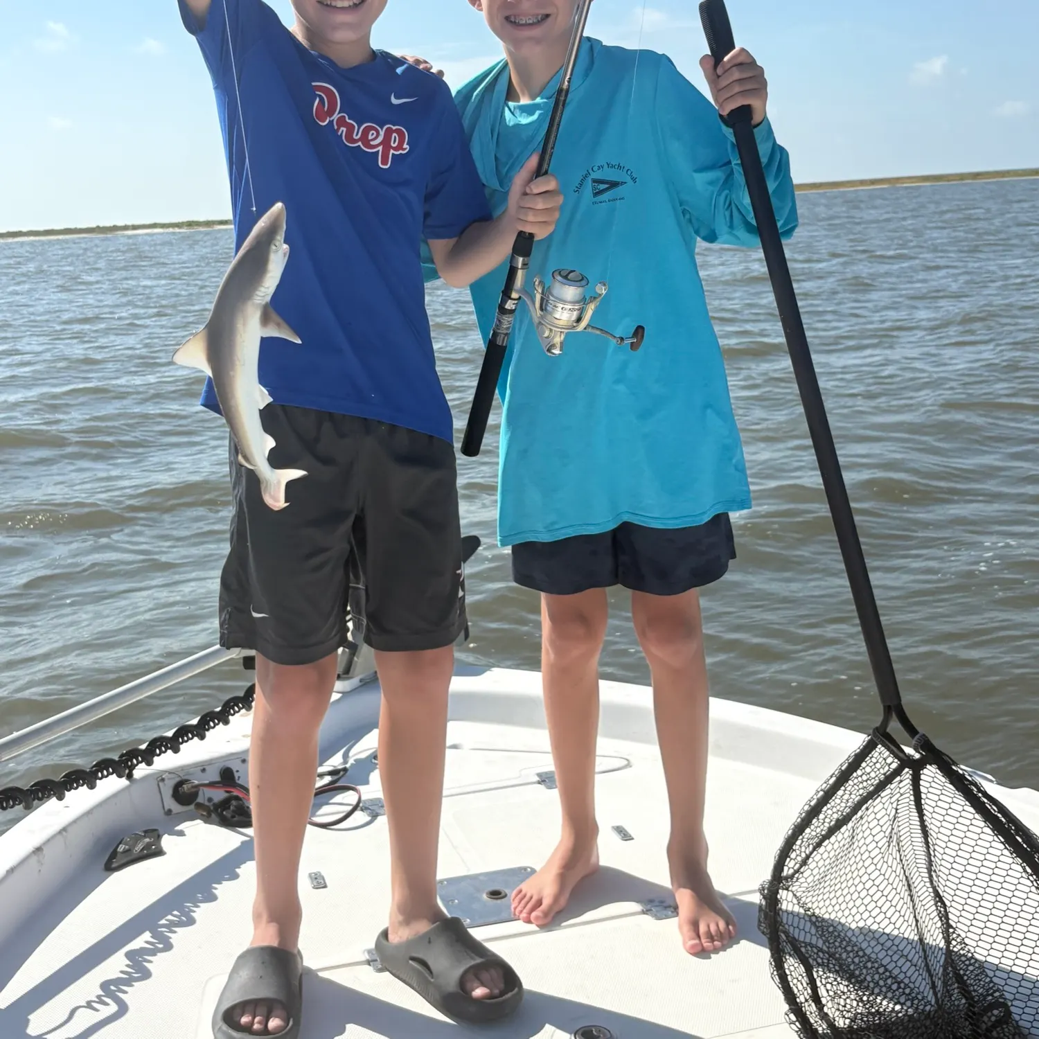 Atlantic sharpnose shark caught on Fishbrain