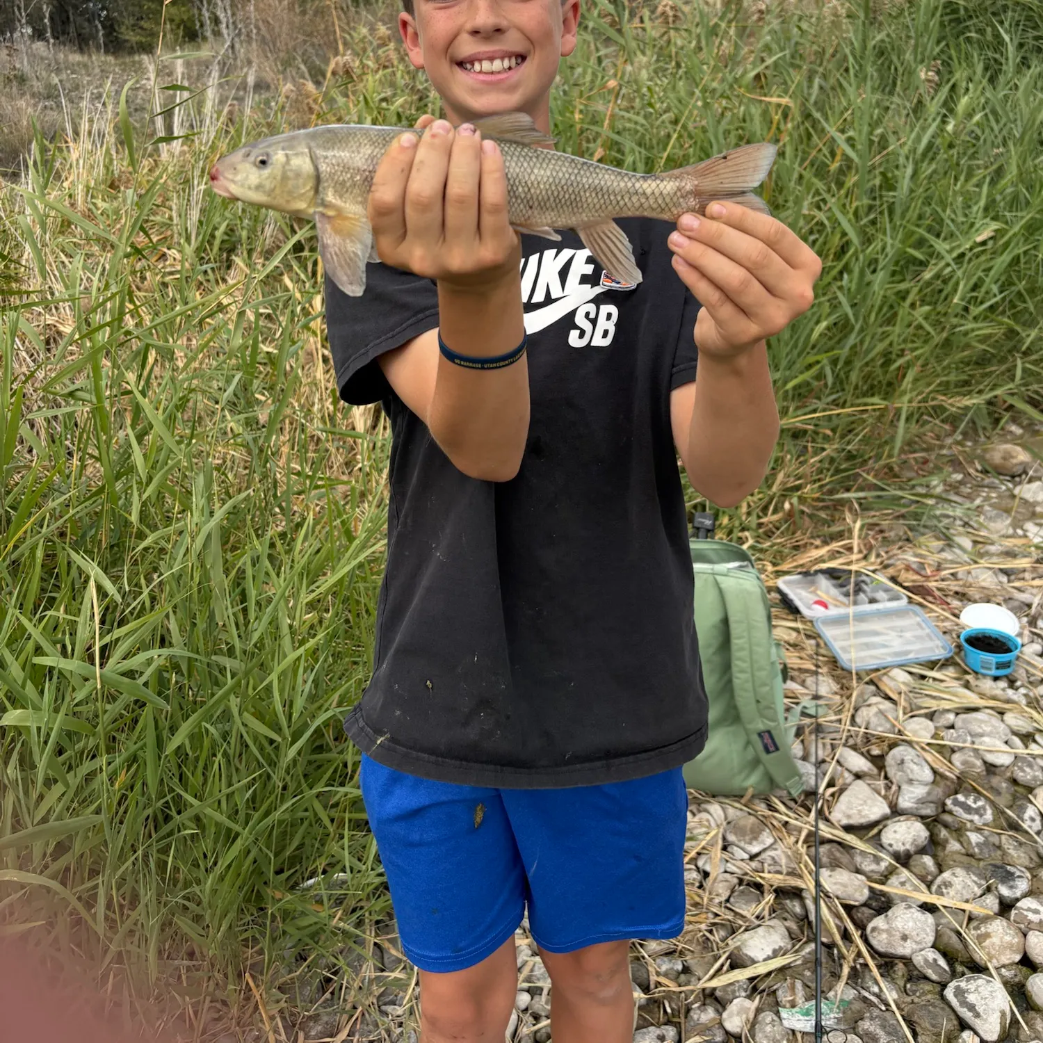 Utah sucker caught on Fishbrain