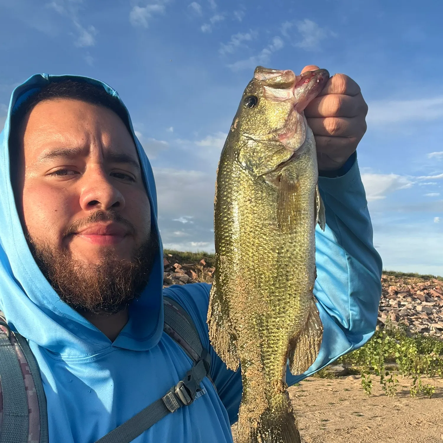 Largemouth bass caught on Fishbrain