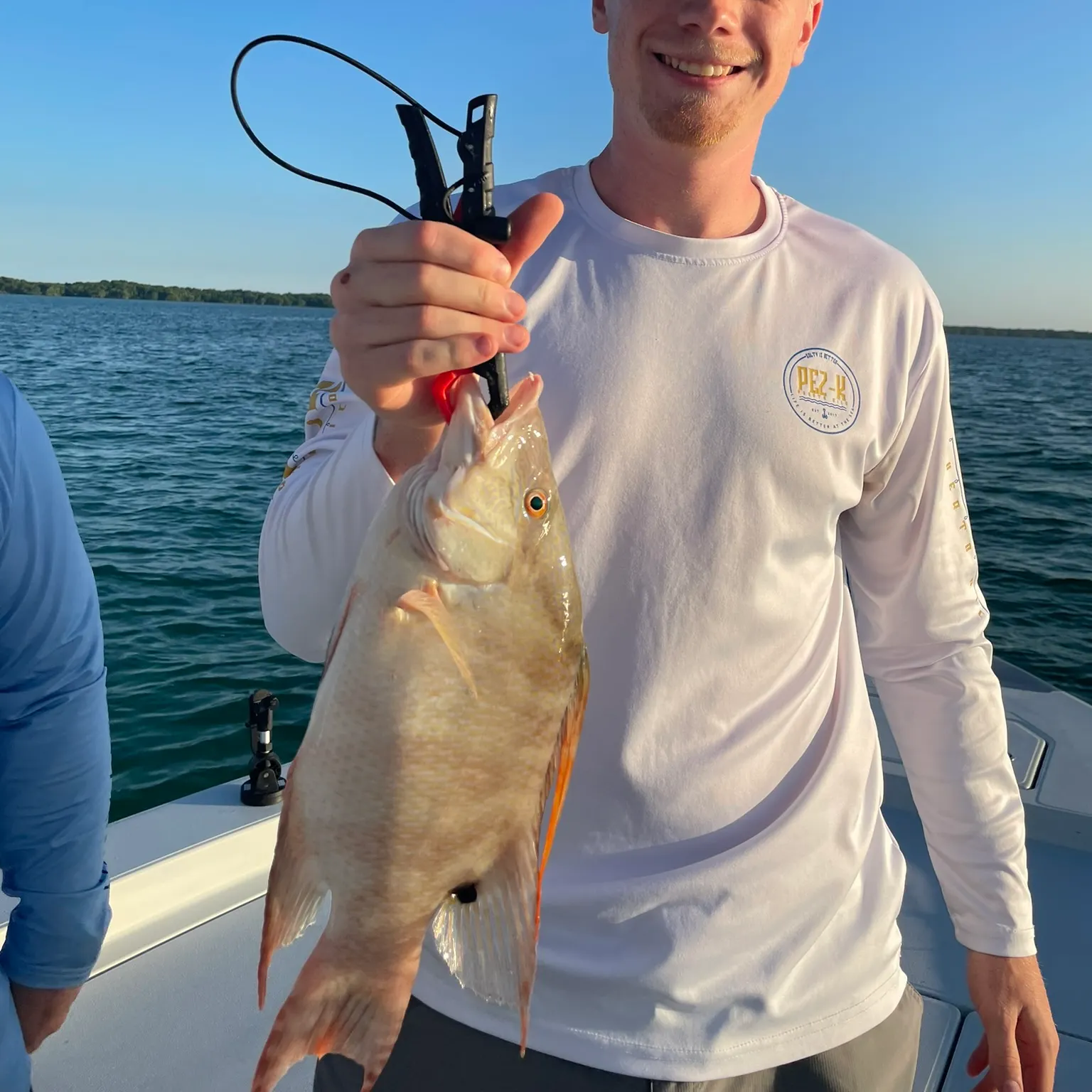 The most recent Hogfish catches on Fishbrain