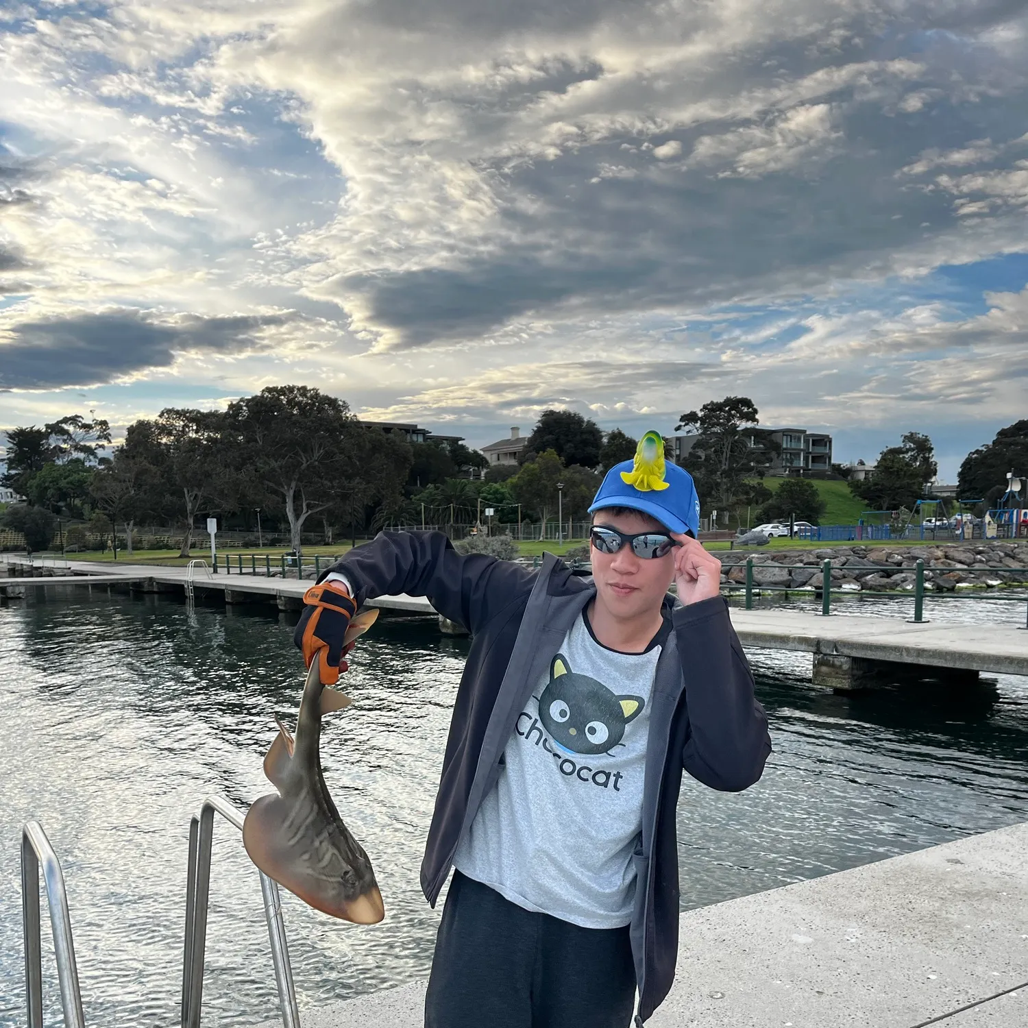 The most recent Southern fiddler catches on Fishbrain