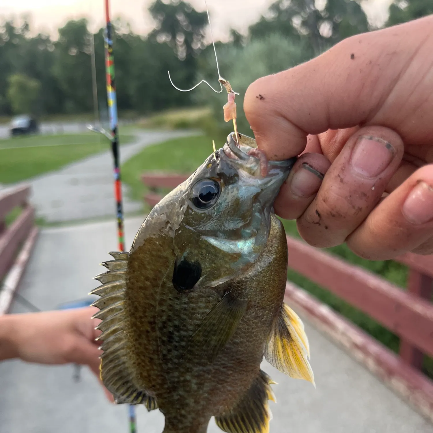 catch