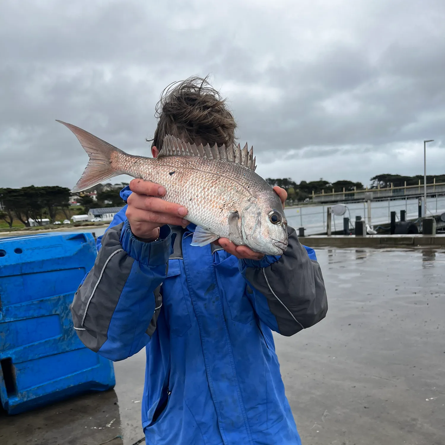 Australasian snapper caught on Fishbrain