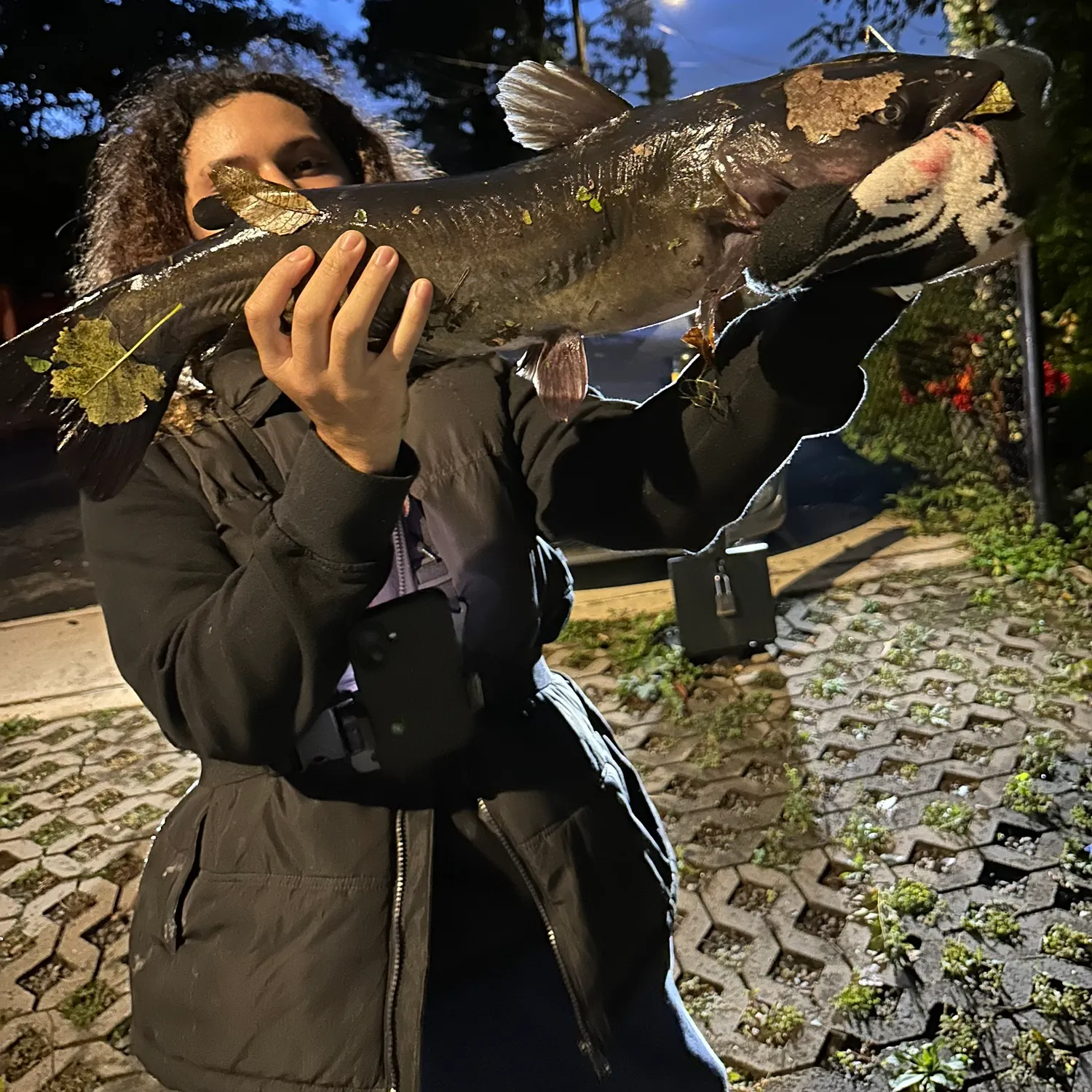 Channel catfish caught on Fishbrain