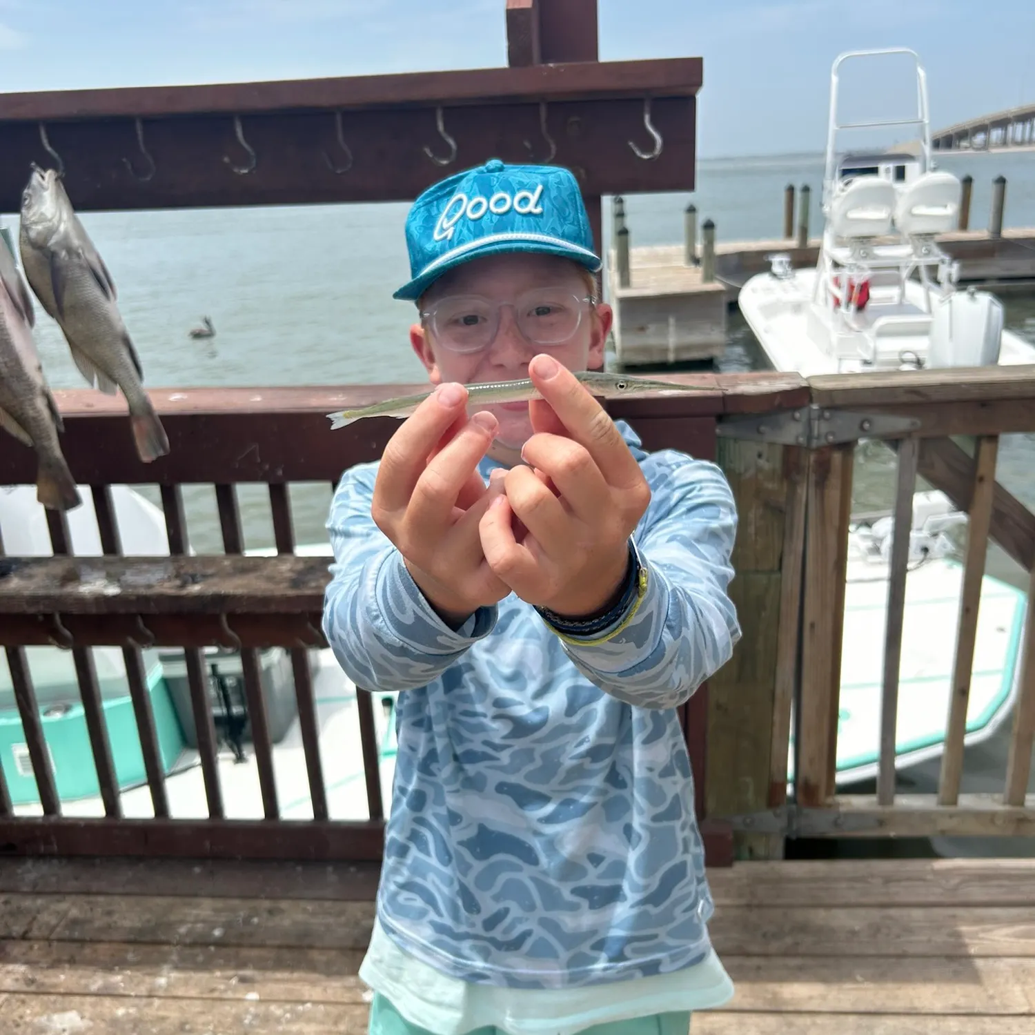 The most recent Flat needlefish catches on Fishbrain