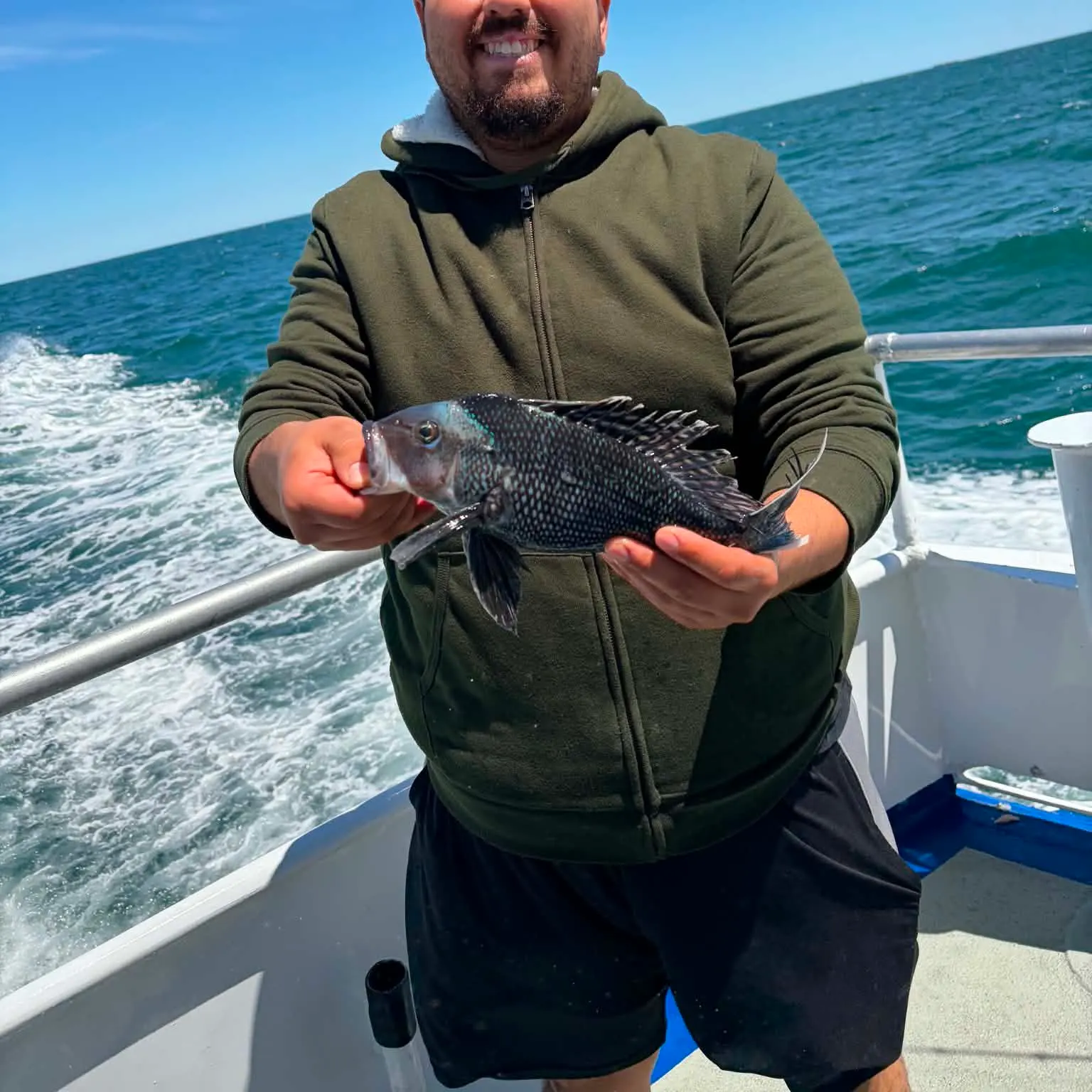 The most recent Black sea bass catches on Fishbrain