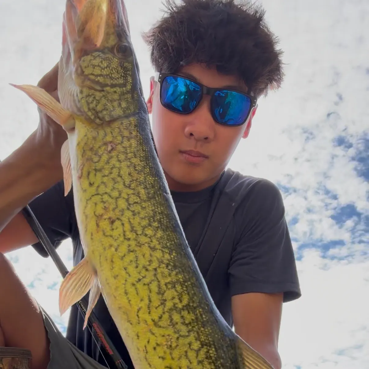 Chain pickerel caught on Fishbrain
