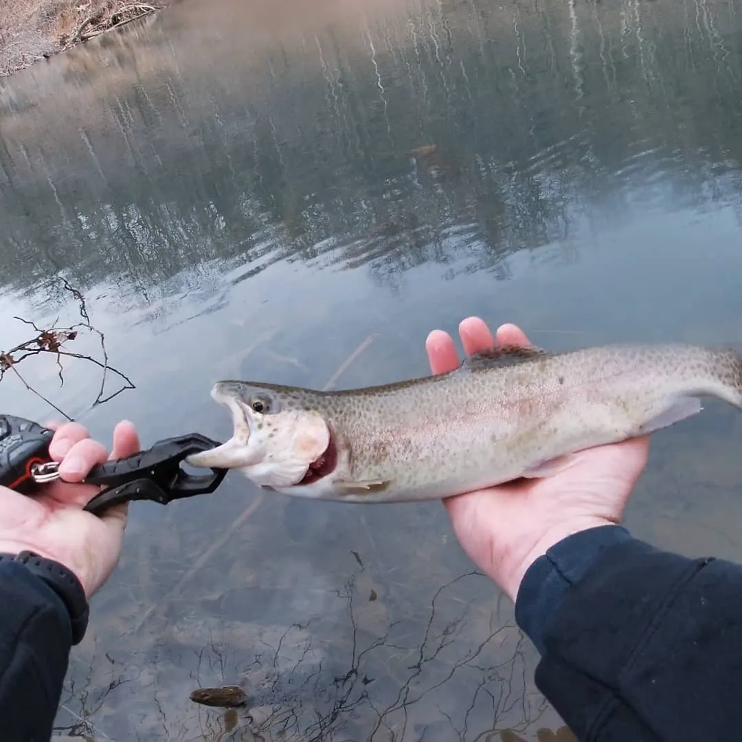 Post image from KayakSoldier