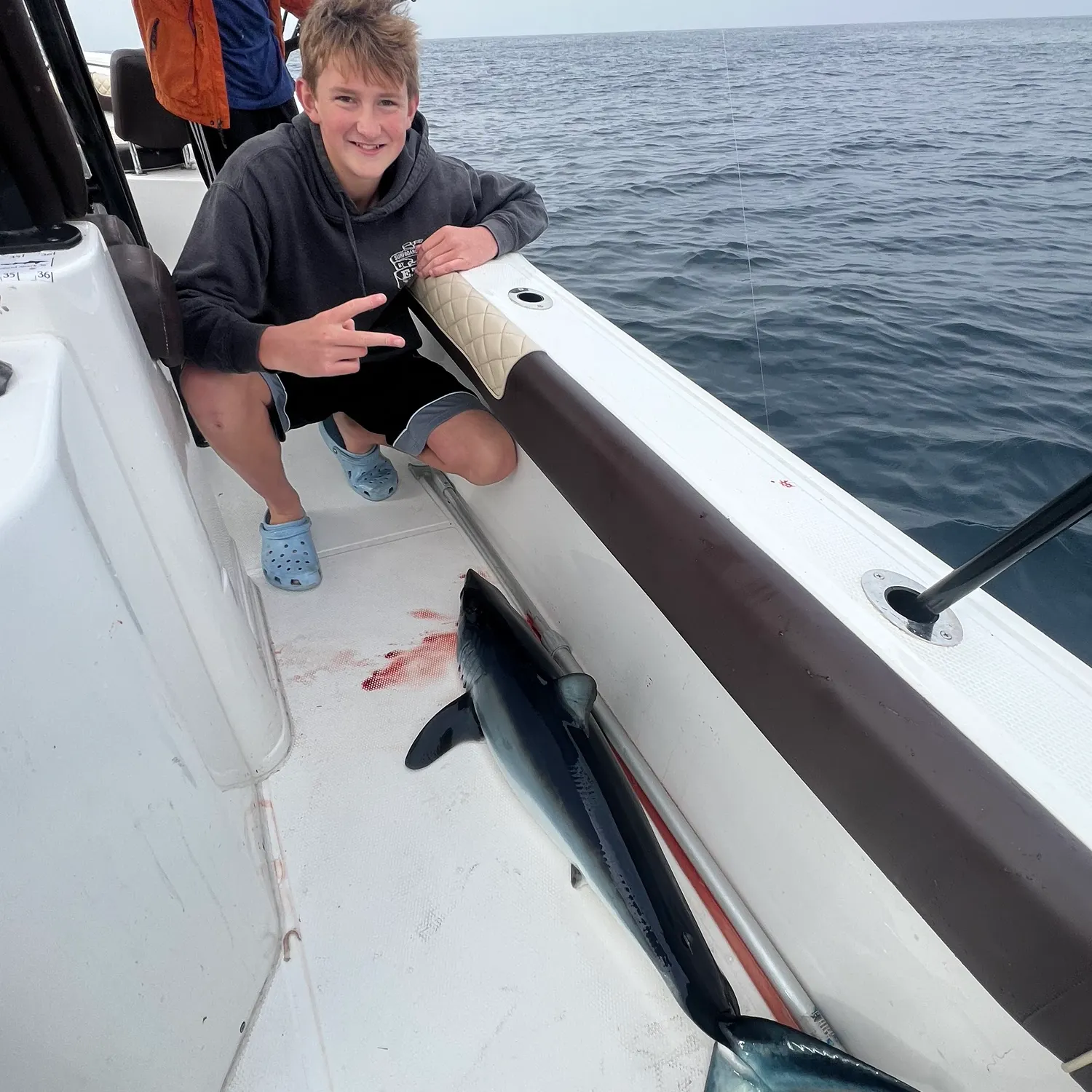 The most recent Shortfin mako shark catches on Fishbrain