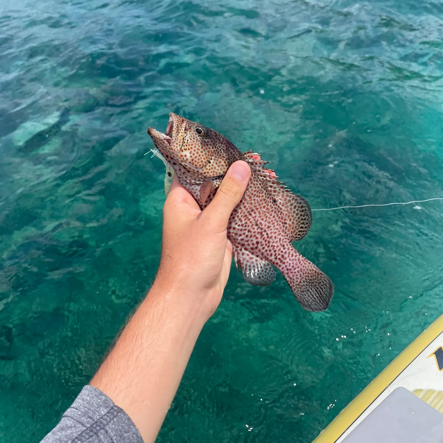 most liked catch image