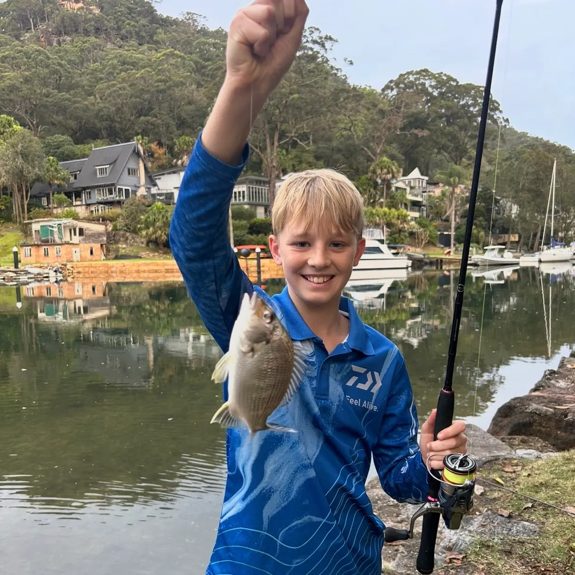 The most recent Javelin grunter catches on Fishbrain
