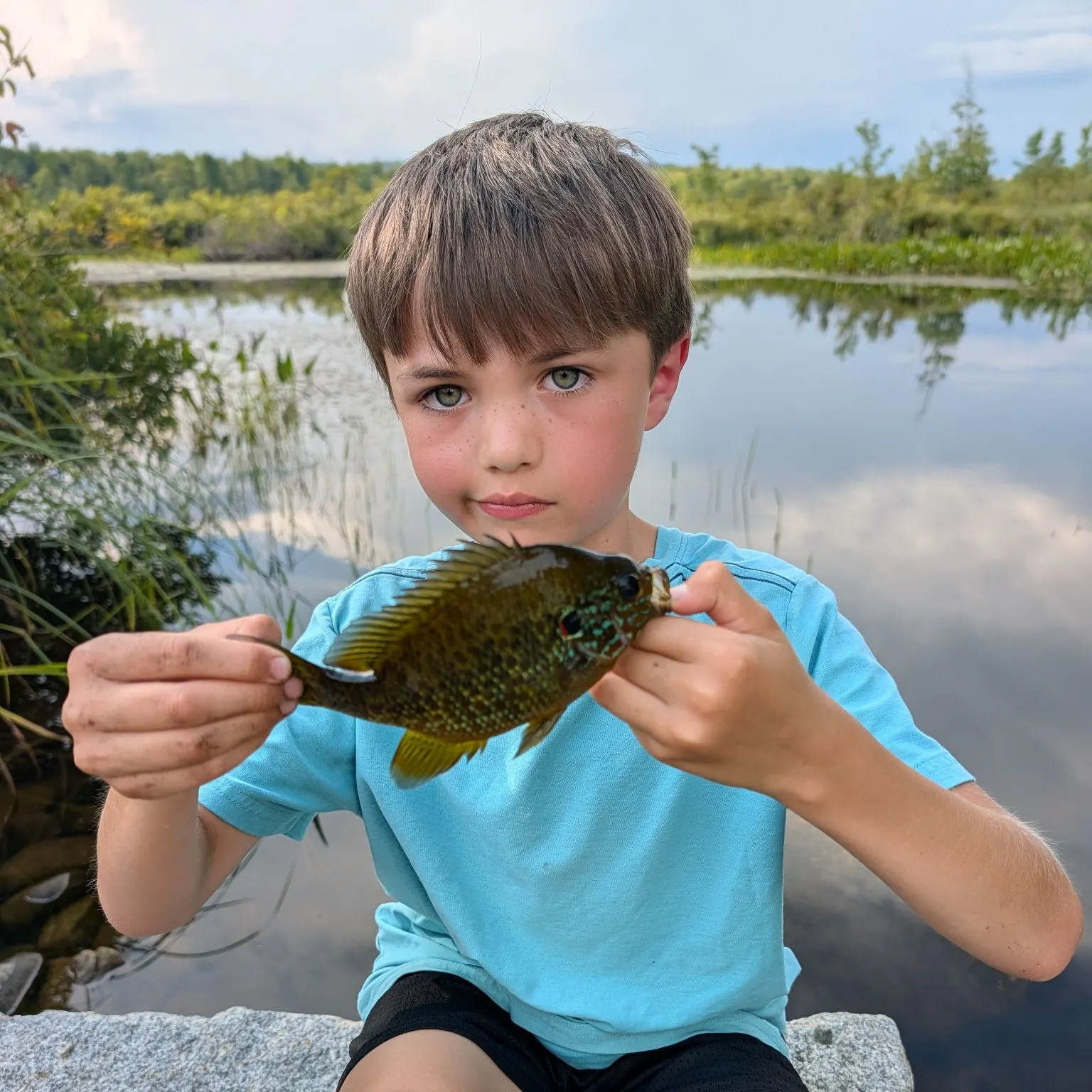 Pumpkinseed caught on Fishbrain