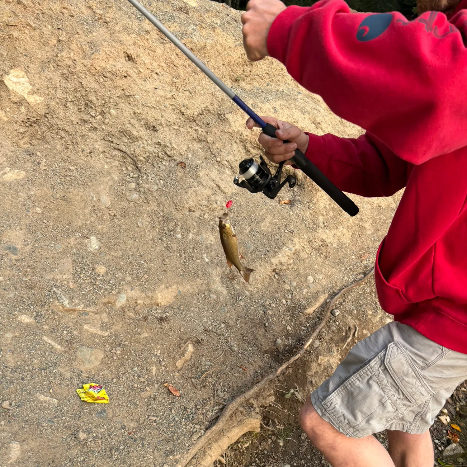 Smallmouth bass caught on Fishbrain