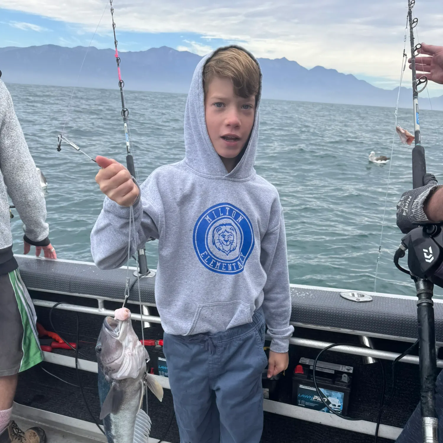 The most recent Blue cod catches on Fishbrain