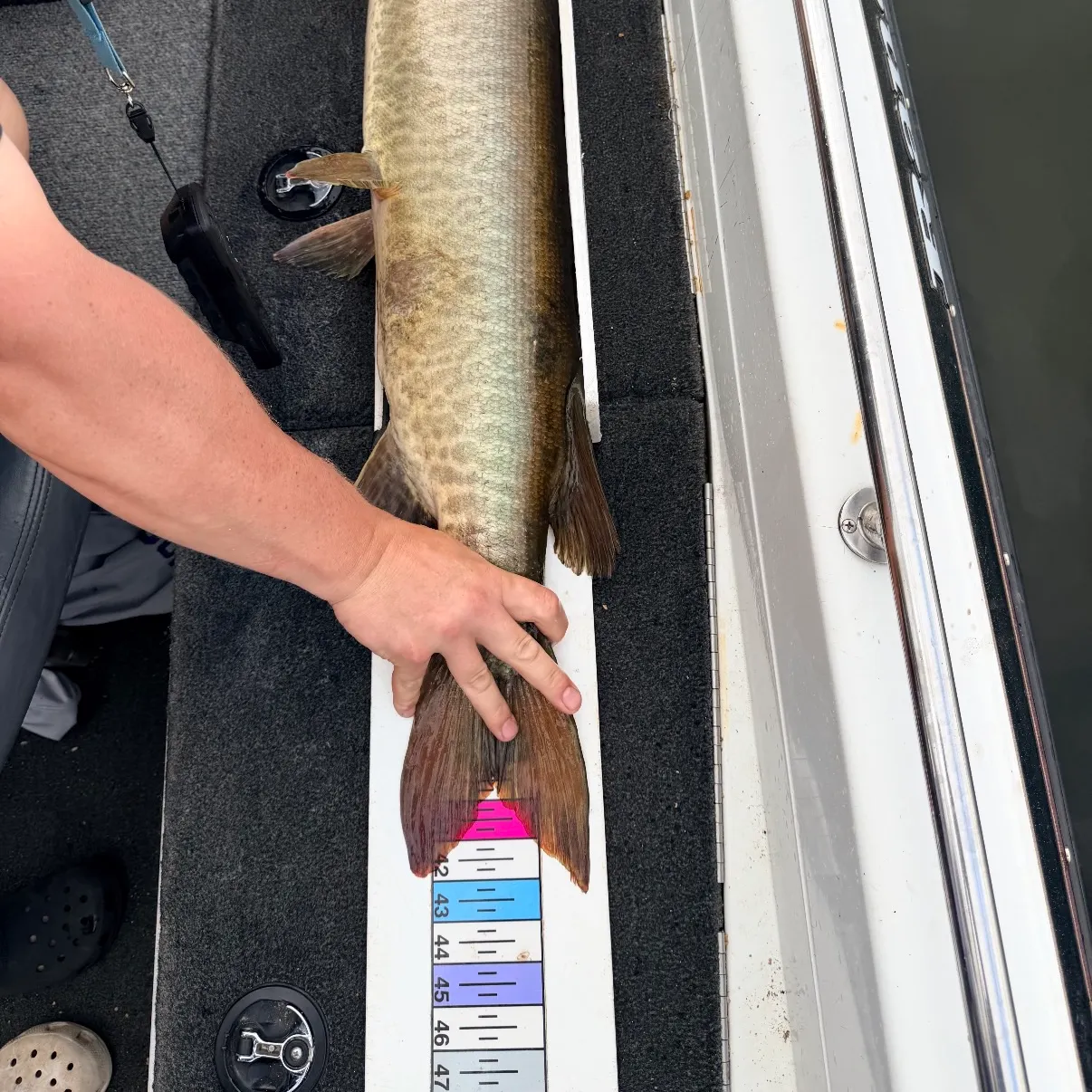 Muskie caught on Fishbrain