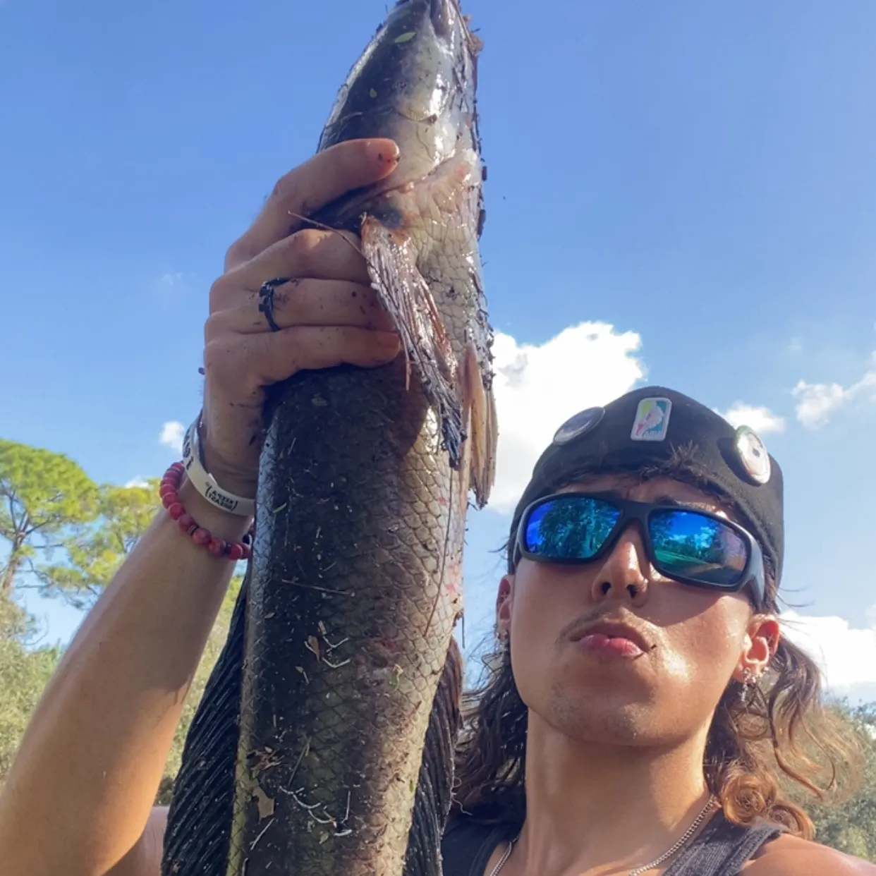 The most recent Northern snakehead catches on Fishbrain
