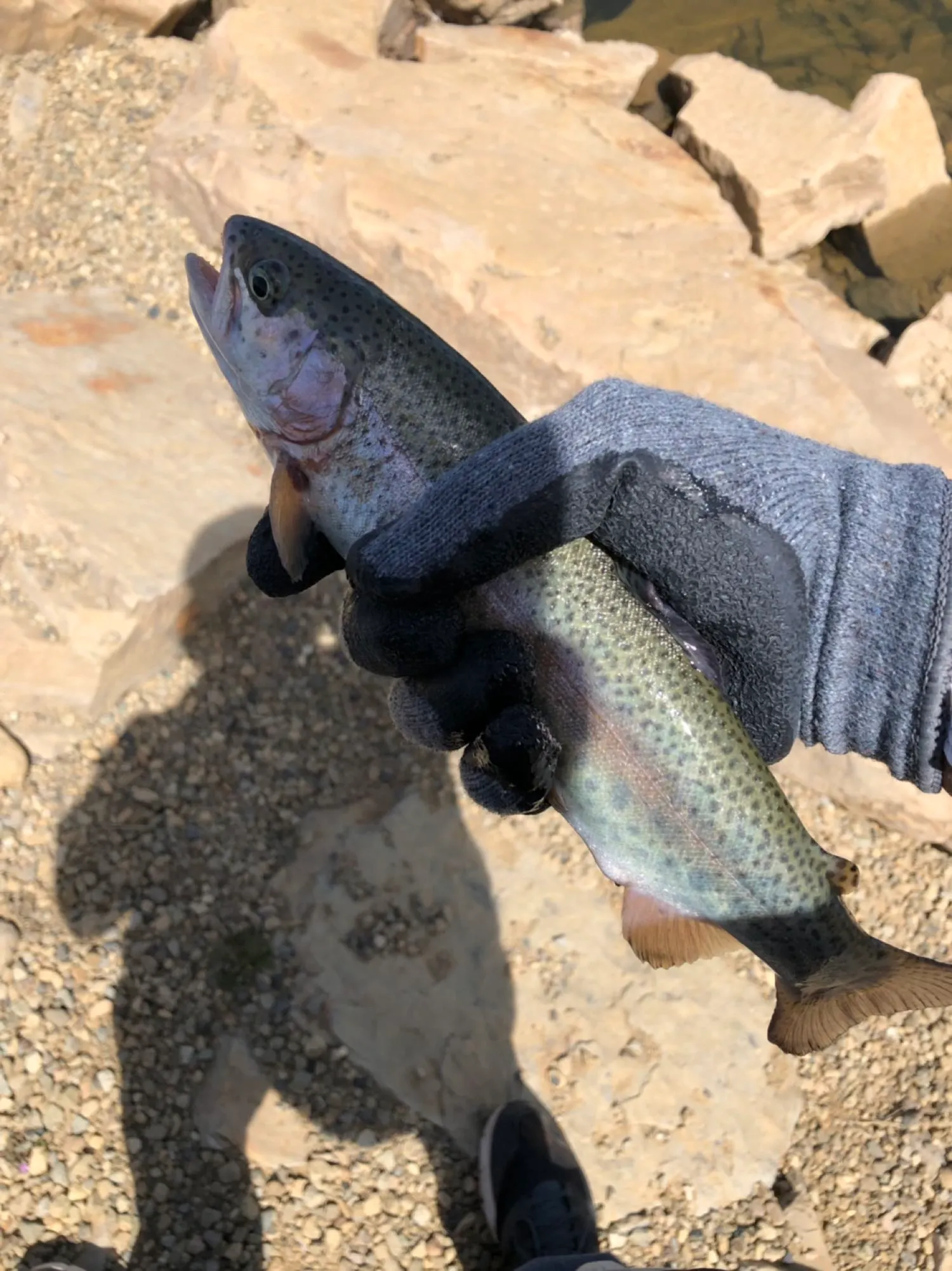 Post image from TroyT9210