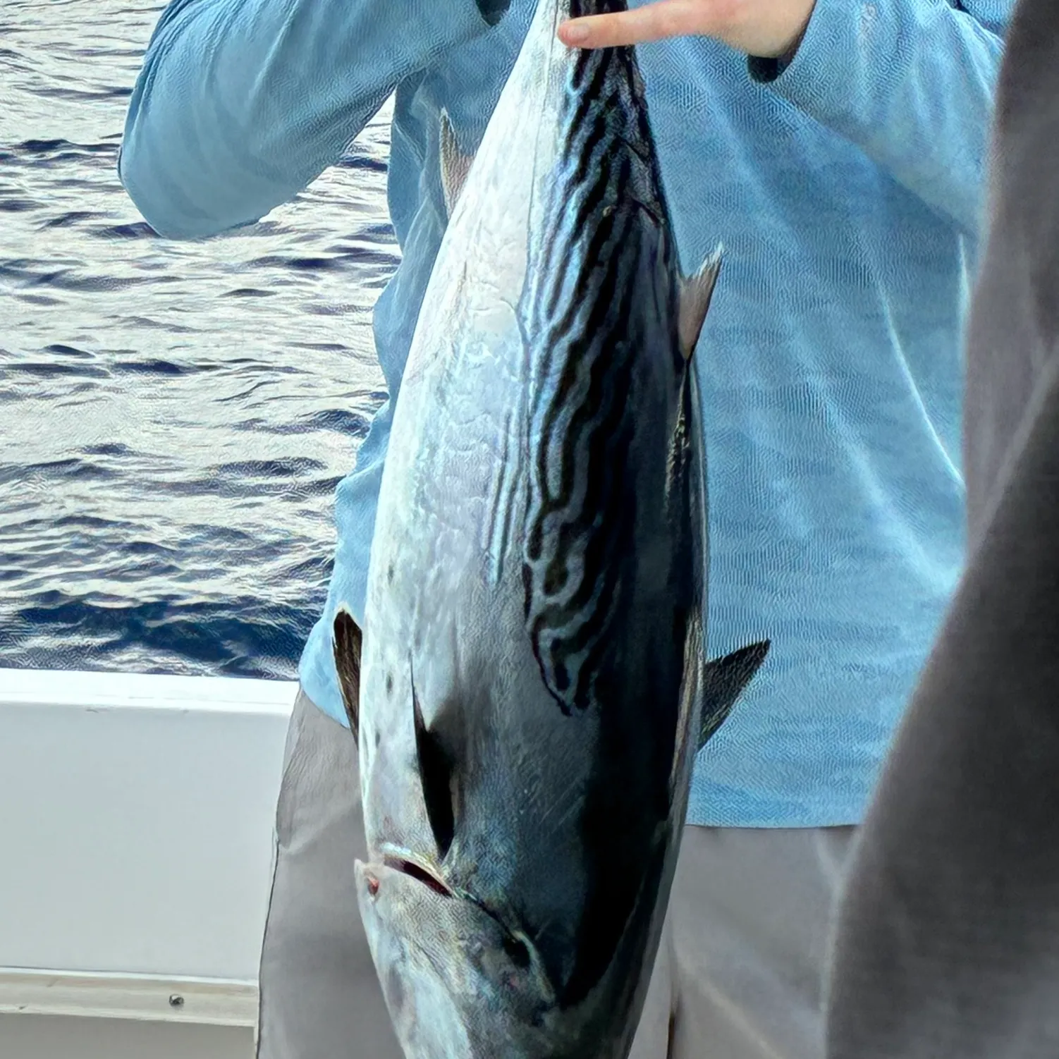 The most recent Pacific bluefin tuna catches on Fishbrain