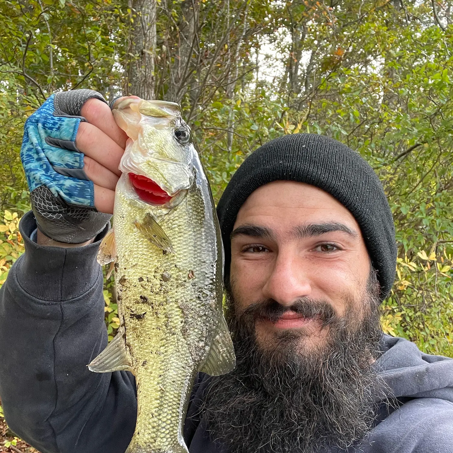 Largemouth bass caught on Fishbrain
