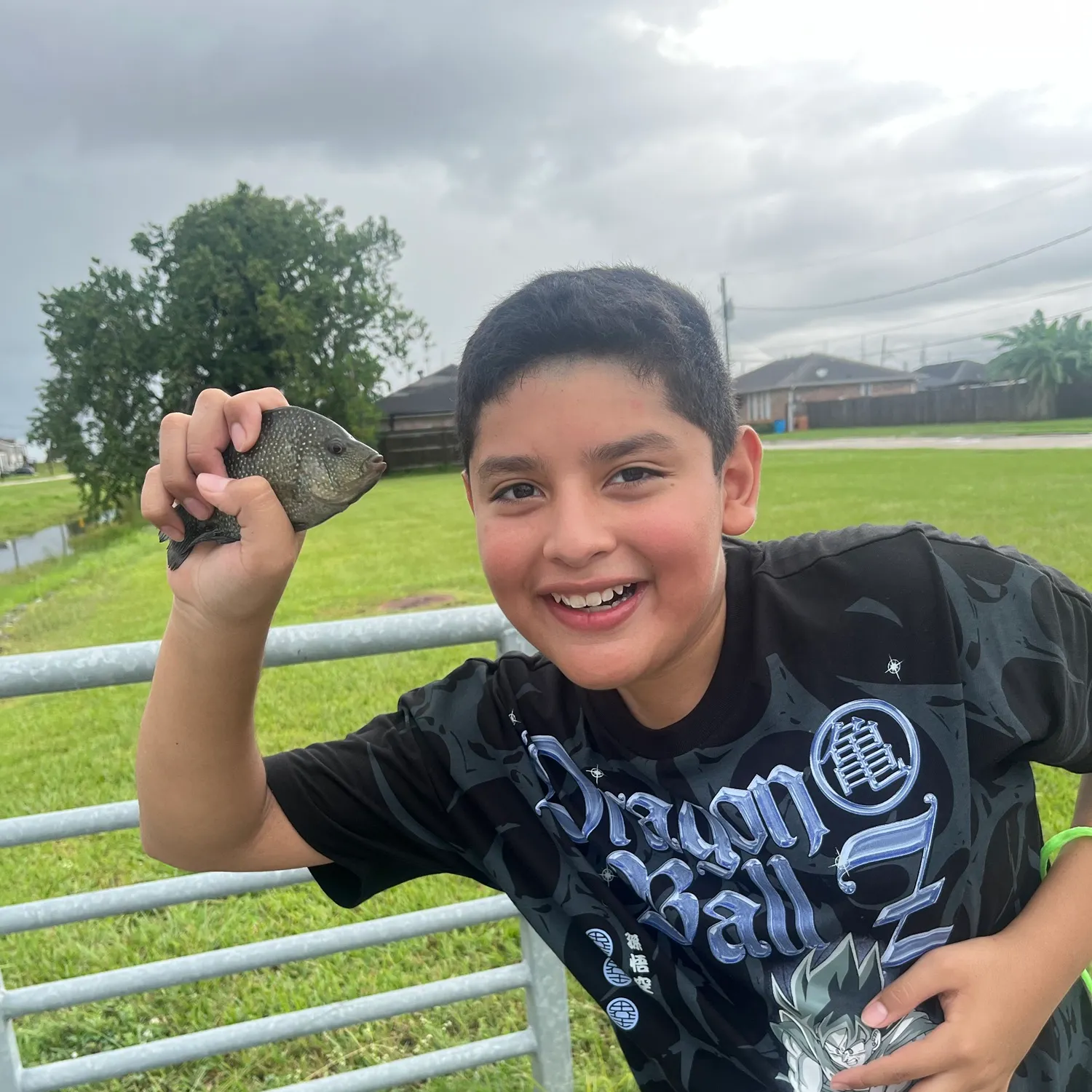 Black crappie caught on Fishbrain