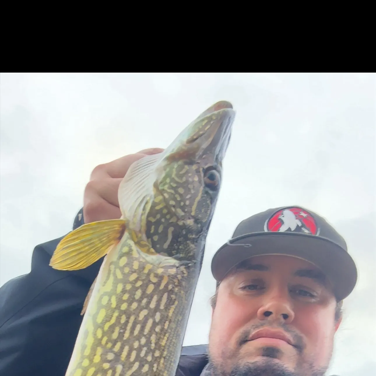 Northern pike caught on Fishbrain
