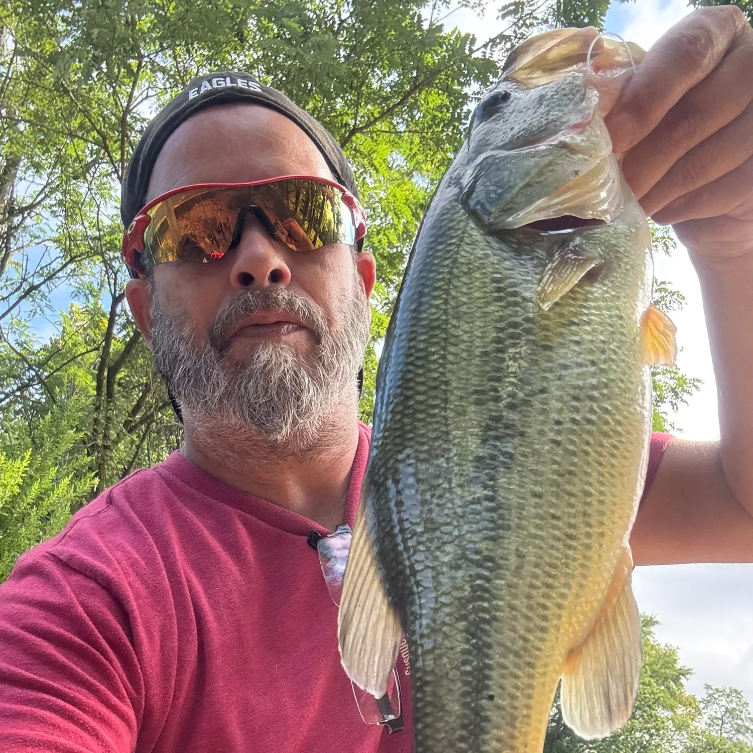 Largemouth bass caught on Fishbrain