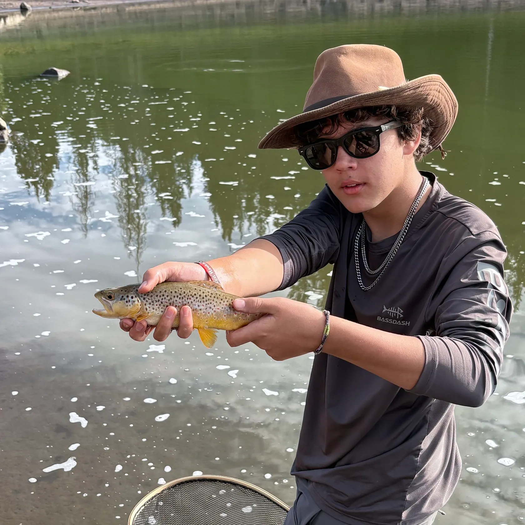 Brown trout caught on Fishbrain