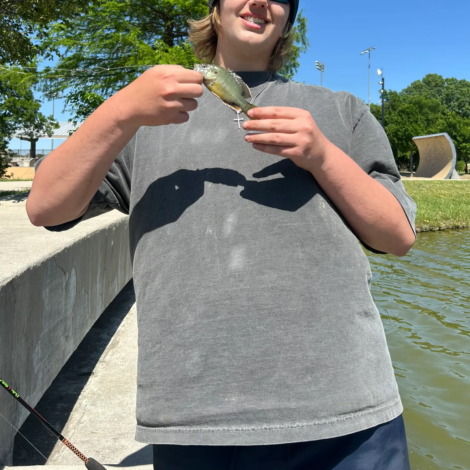 The most recent Green sunfish catches on Fishbrain