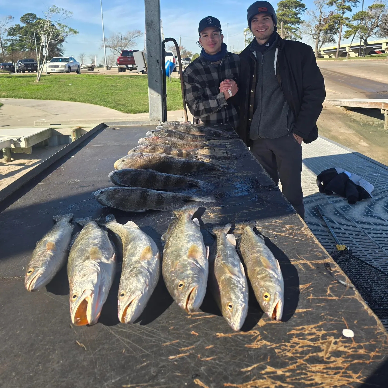 The most recent Spotted seatrout catches on Fishbrain