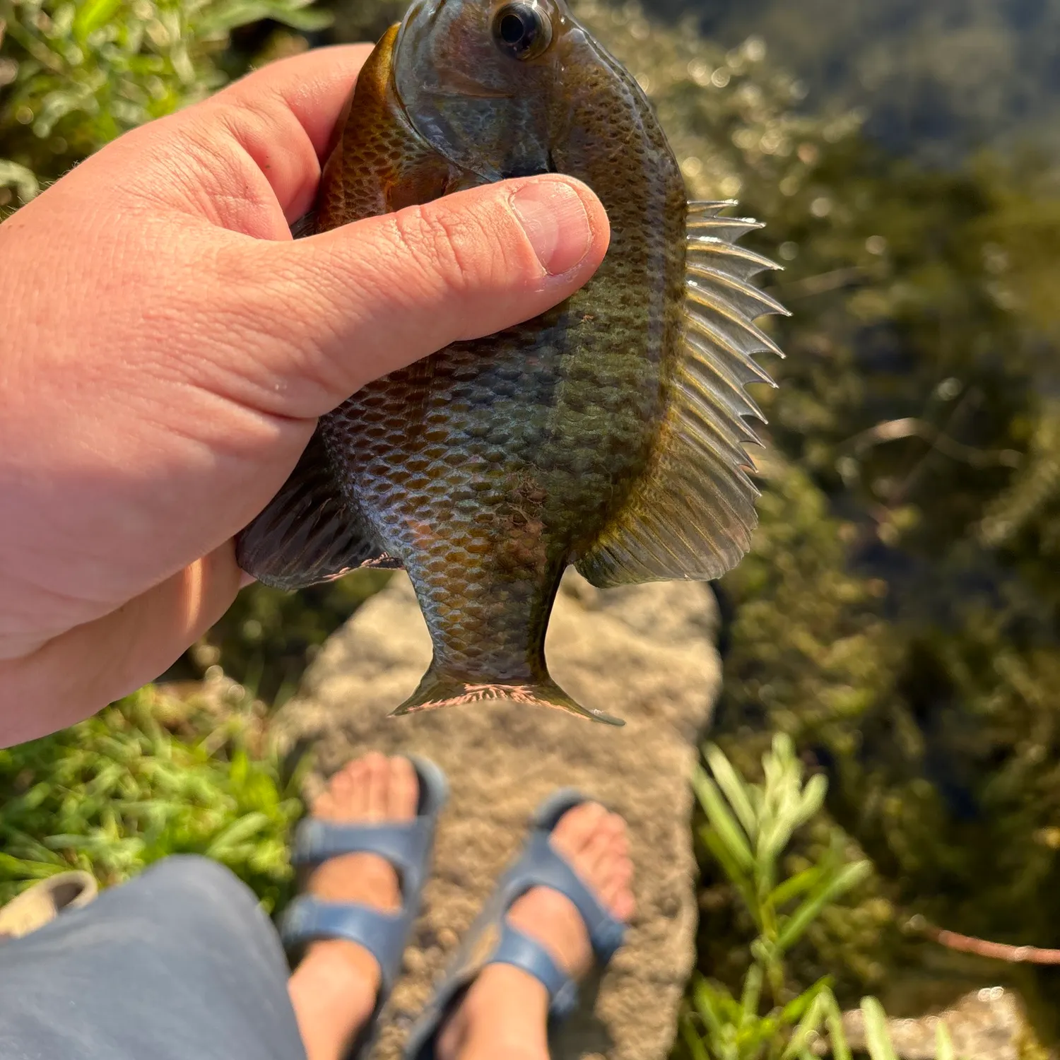 catch