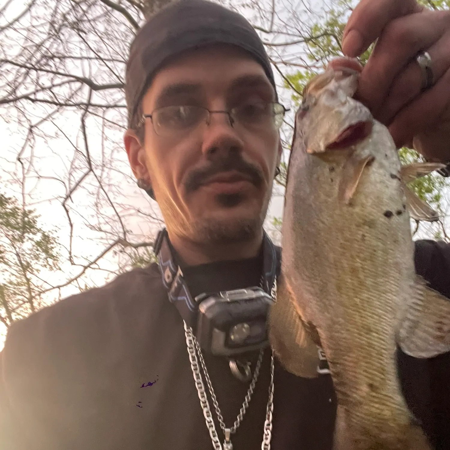 Smallmouth bass caught on Fishbrain