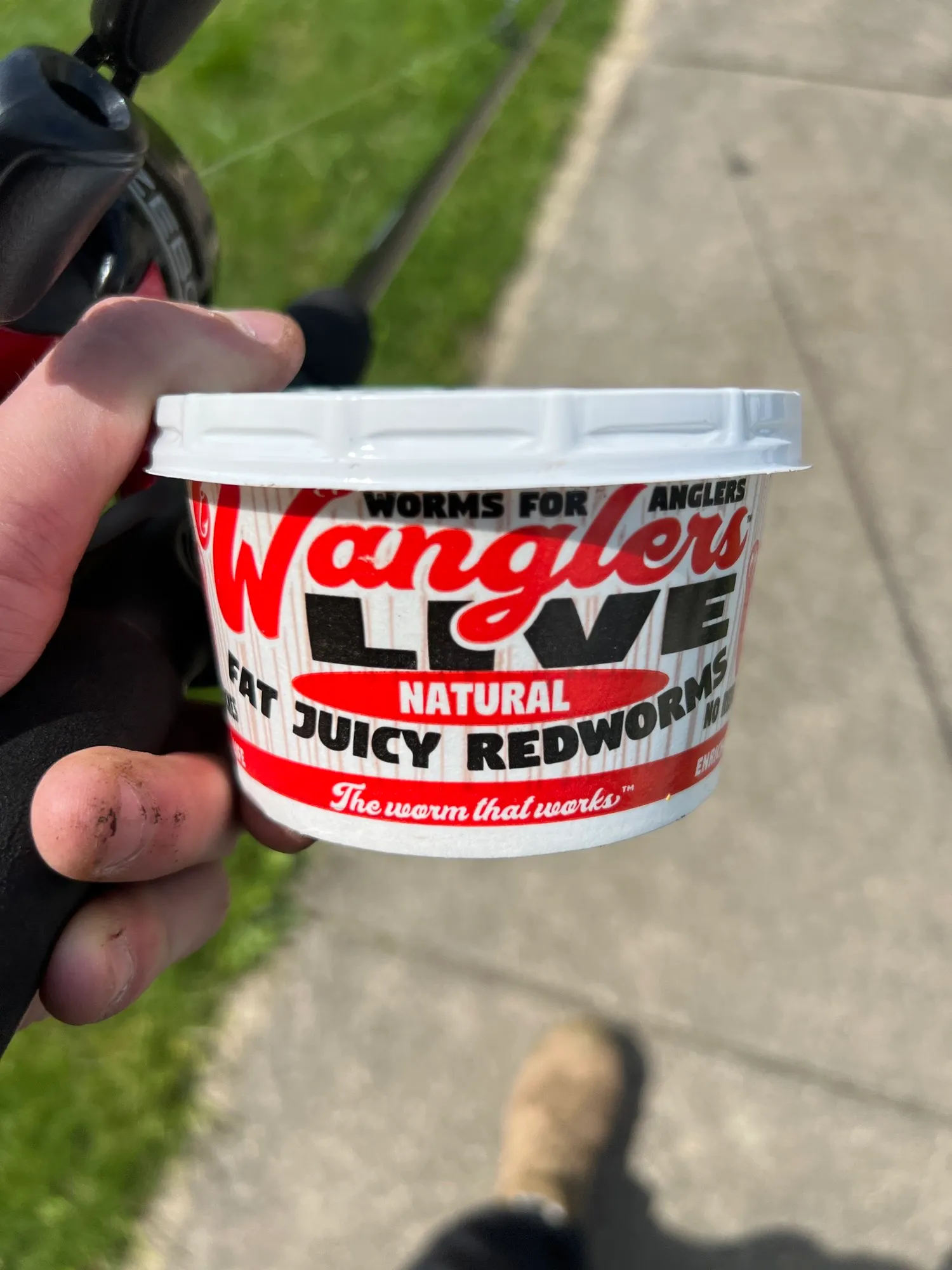 Redworm