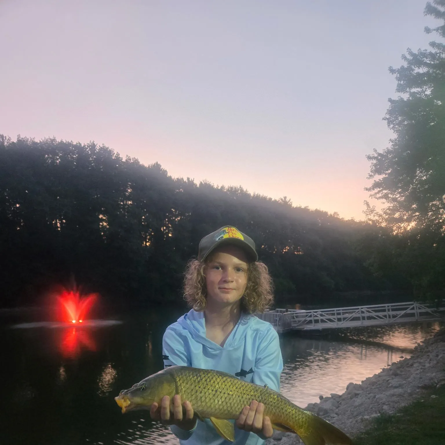 Common carp caught on Fishbrain