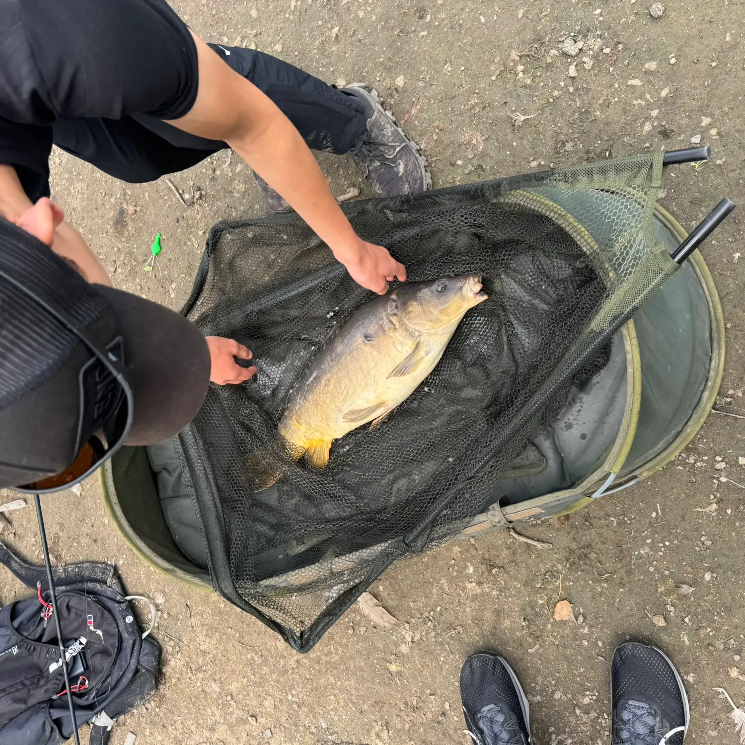 The most recent Leather carp catches on Fishbrain