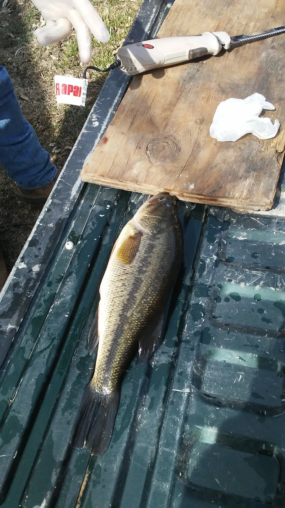 Post image from driley72