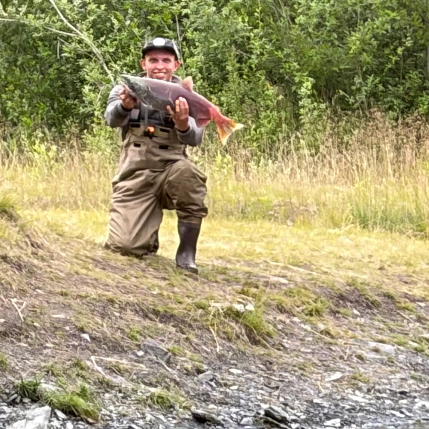 The most recent Sockeye salmon catches on Fishbrain