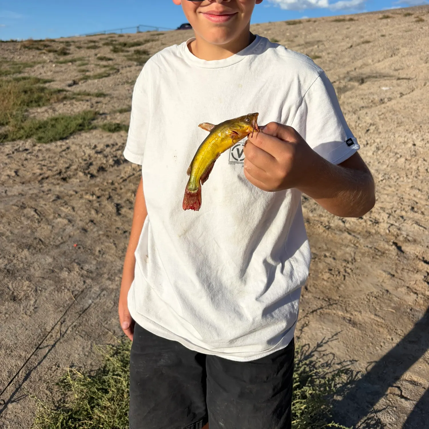 Fish caught on Fishbrain