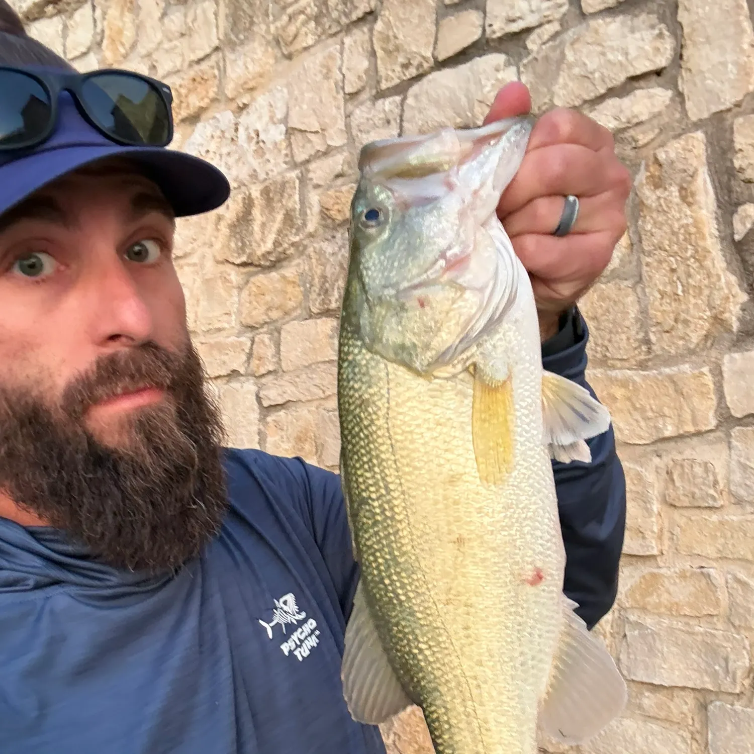 Largemouth bass caught on Fishbrain