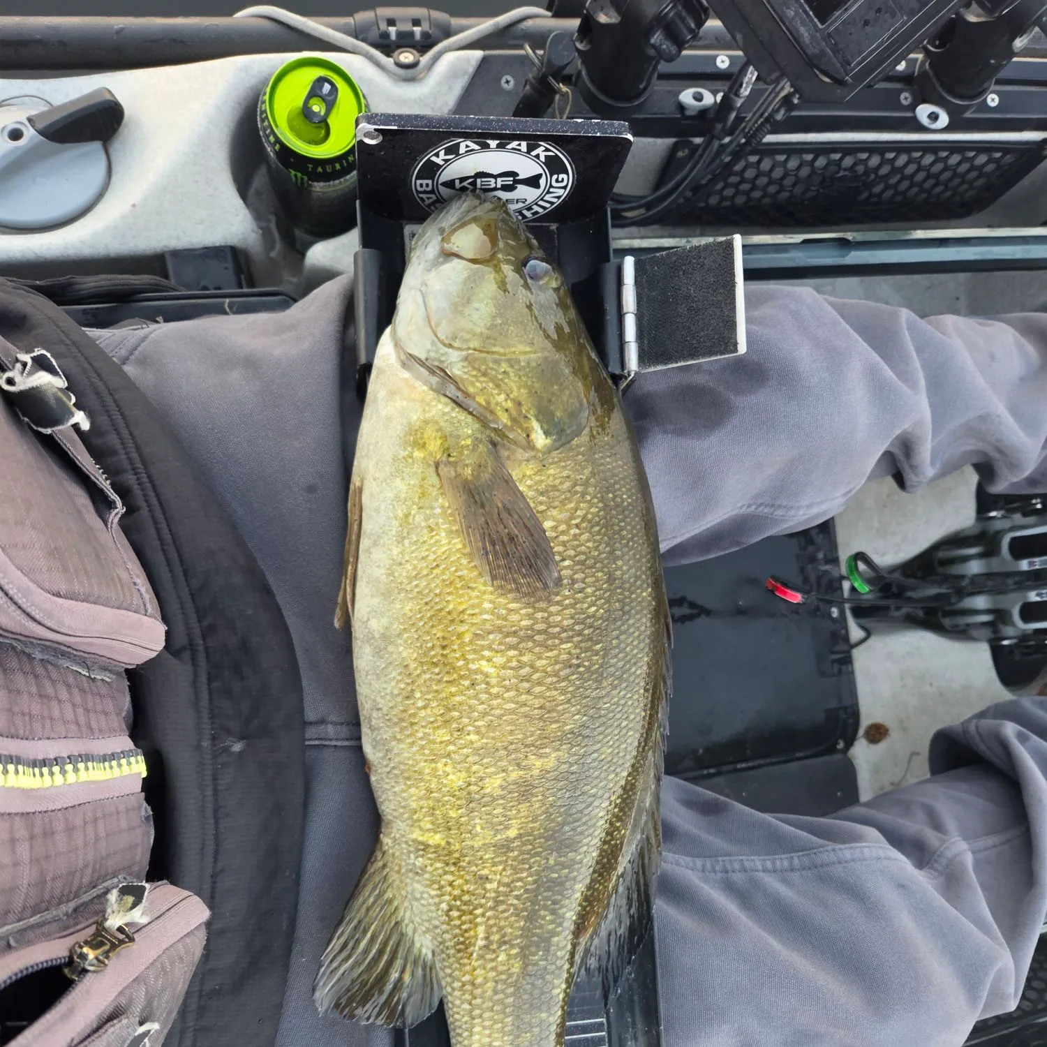 Smallmouth bass caught on Fishbrain