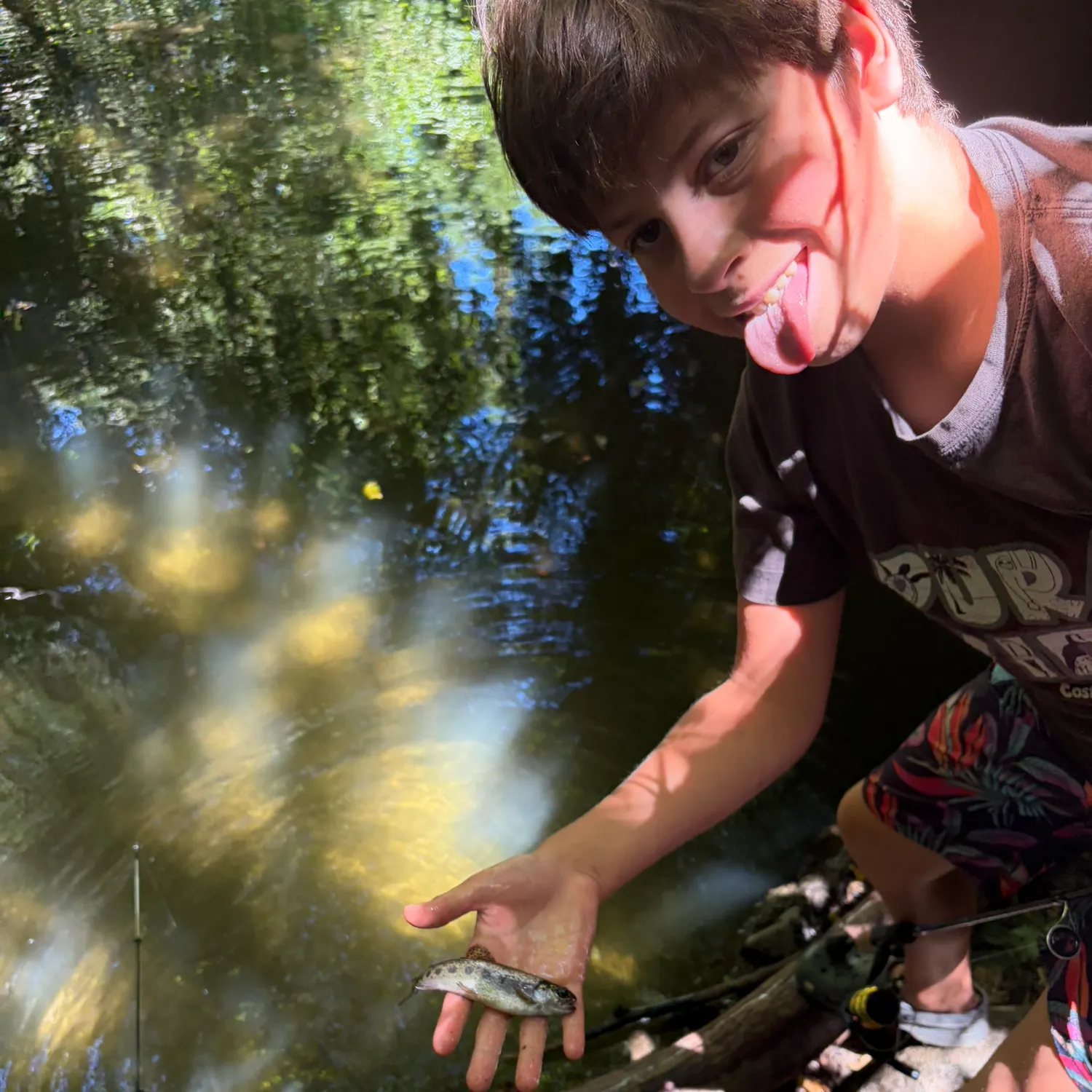 The most recent Coastal rainbow trout catches on Fishbrain
