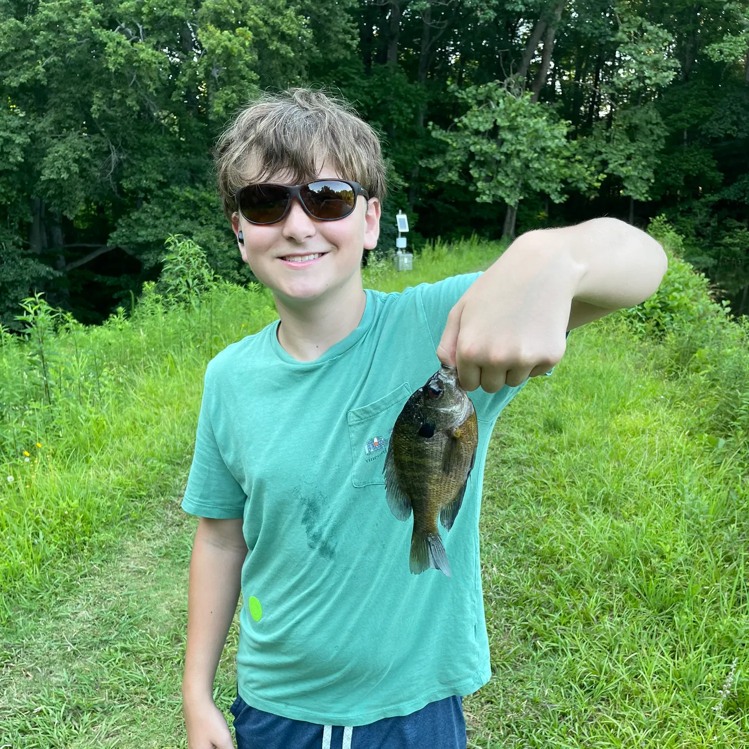 Bluegill caught on Fishbrain