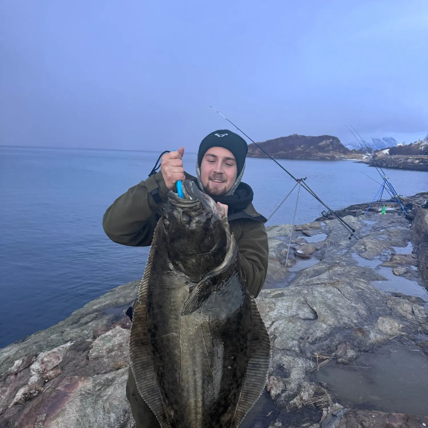 The most recent Atlantic halibut catches on Fishbrain