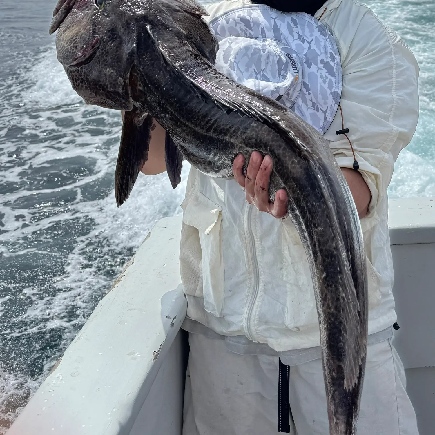 The most recent Lingcod catches on Fishbrain