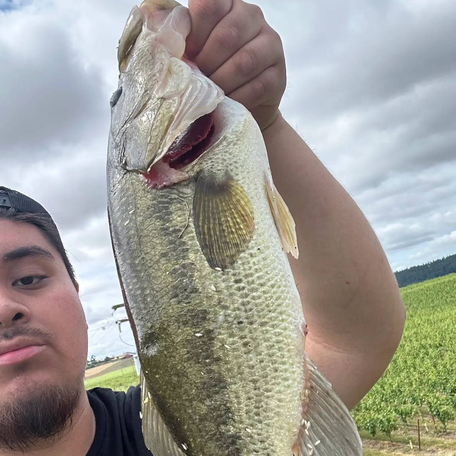 angler catch