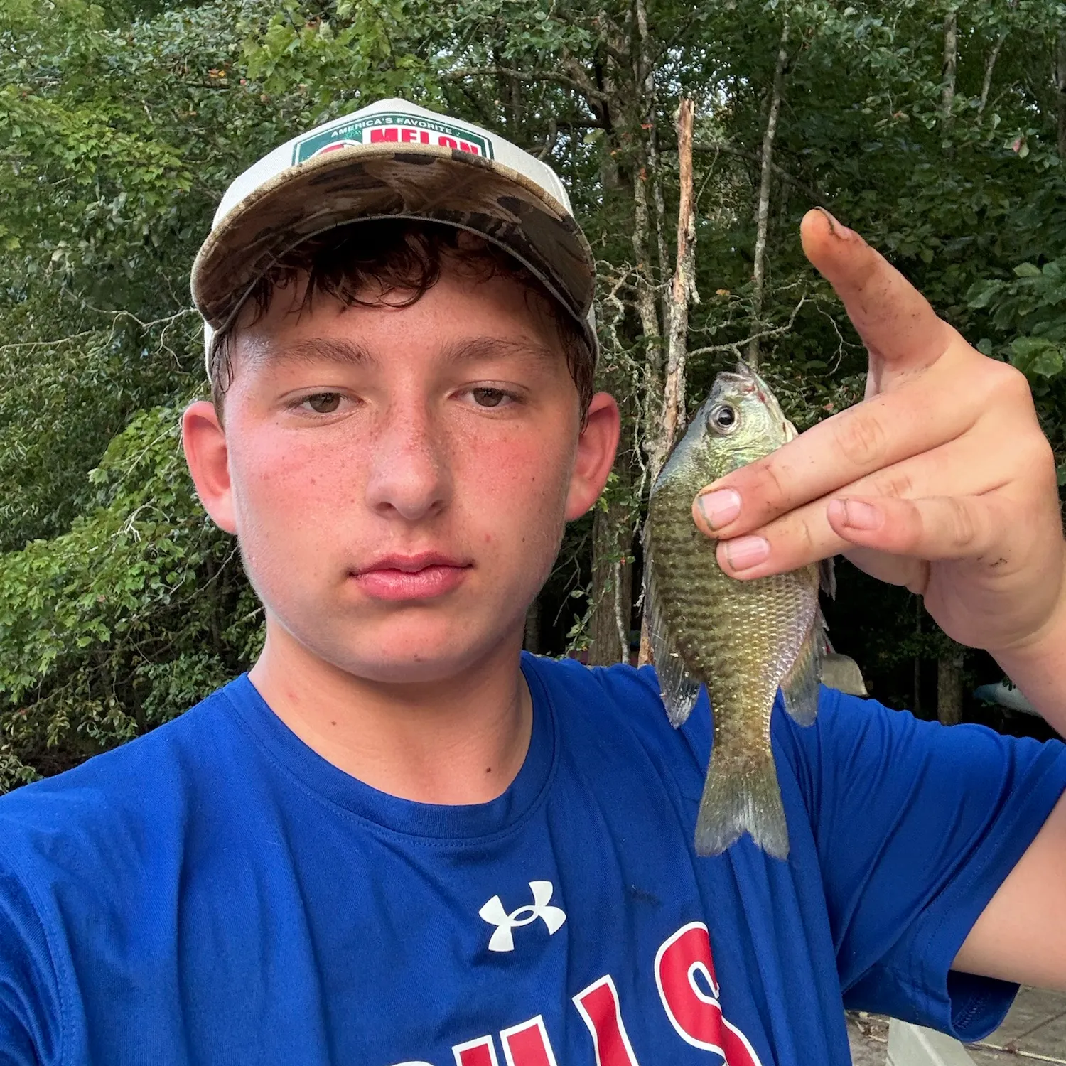 Bluegill caught on Fishbrain