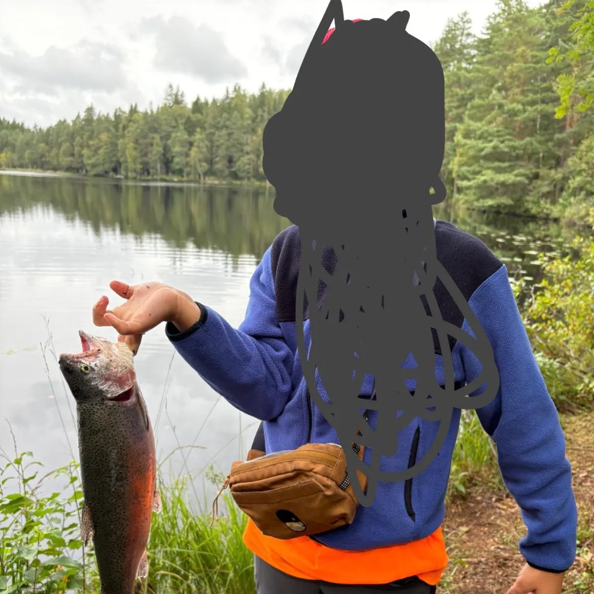 Rainbow trout caught on Fishbrain