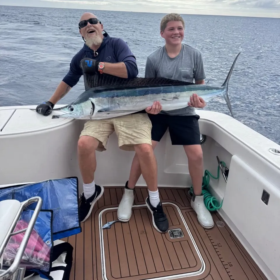 The most recent Atlantic white marlin catches on Fishbrain