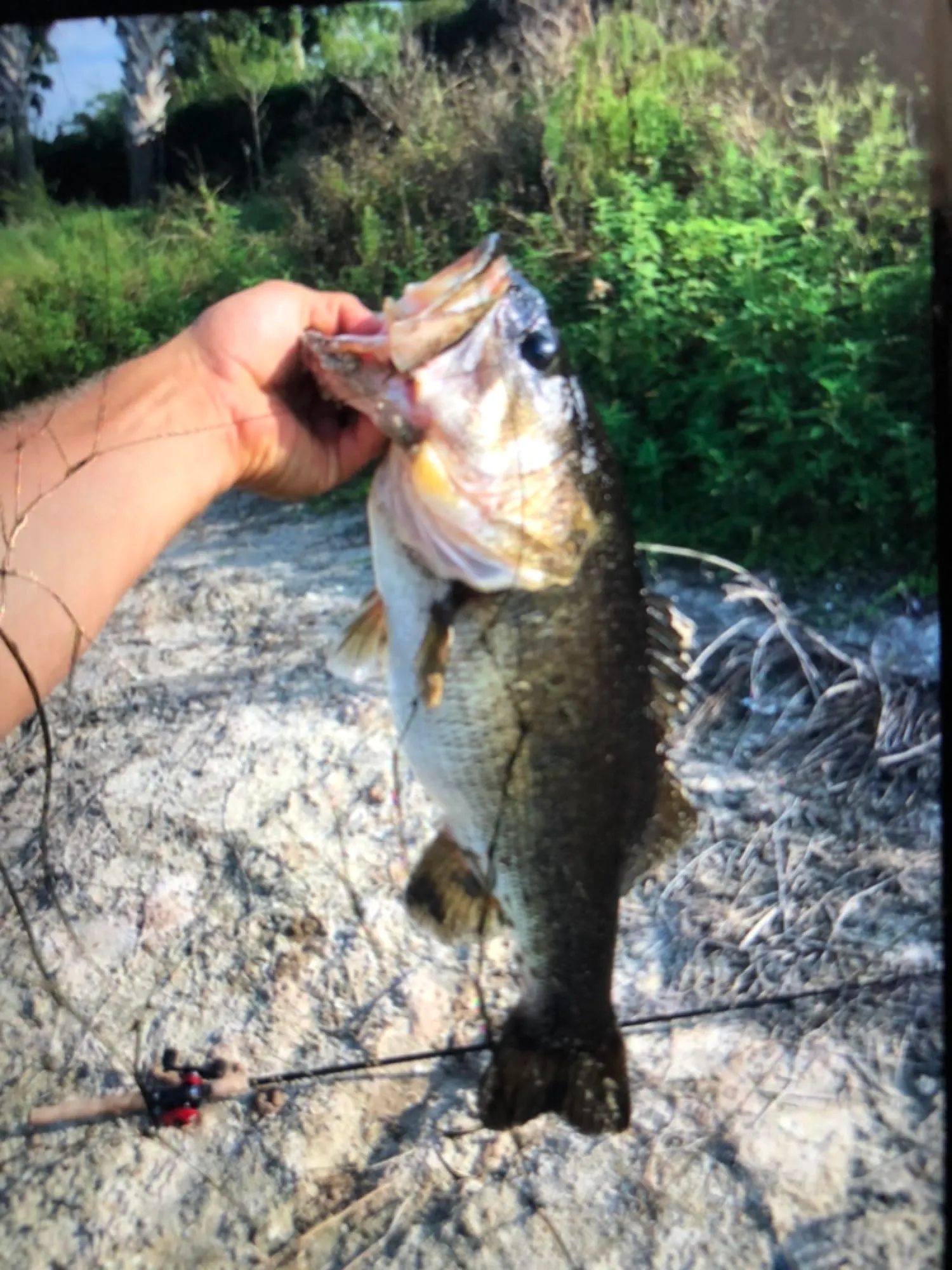 Post image from josiah4fishing